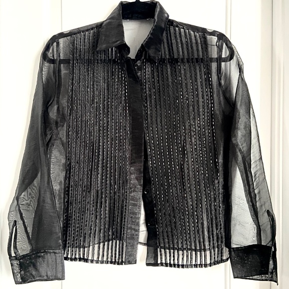 Like new! Fancy Sheer Organza Blouse - Picture 1 of 3
